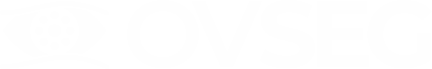 OVSEG – Olho Vivo Segurança